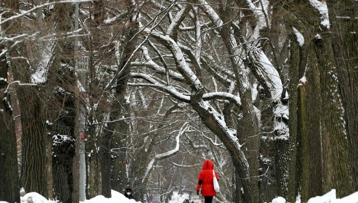 New York, Central Park in deficit: è la prima volta in quarant'anni