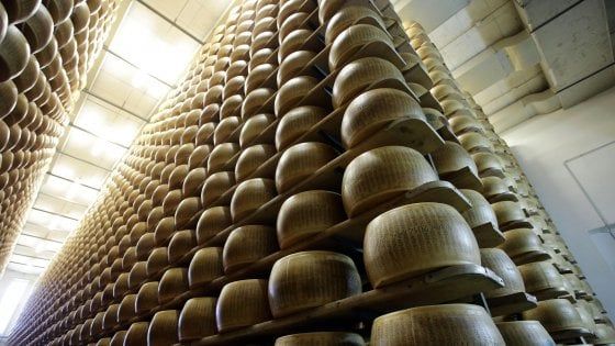 Coronavirus, arruolati i casari "riservisti" per non fermare la produzione di Parmigiano Reggiano 