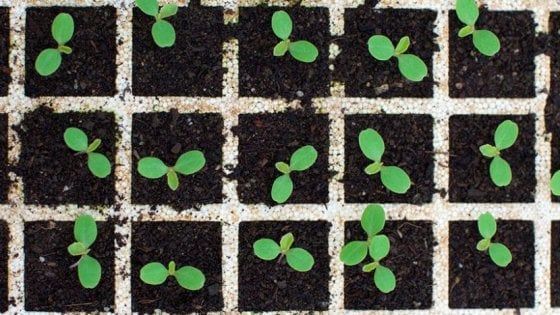 Così l’inflazione orienta le scelte d’investimento