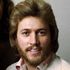 La storia dei Bee Gees diventa un musical