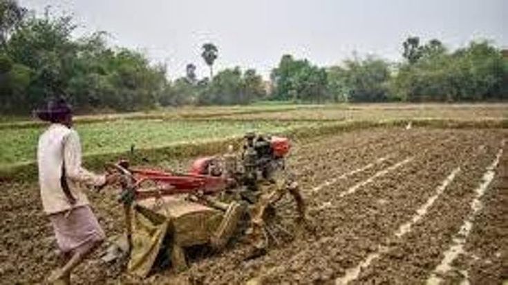 India, gli agricoltori indiani temono di pagare il prezzo dell’accordo commerciale con Washington