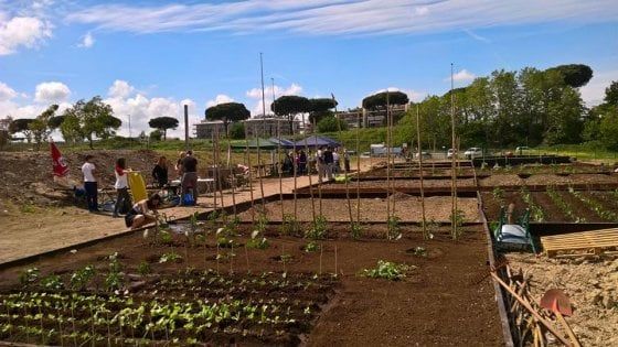 Roma, orti sociali, laboratori di ceramica e di addestramento dei cani: "Così aiutiamo i giovani in difficoltà"