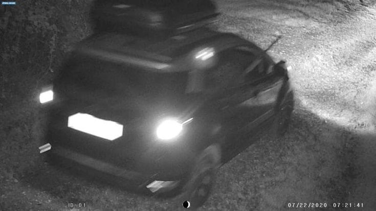 Andavano a caccia sparando agli animali dall’auto: denunciati padre e figlio