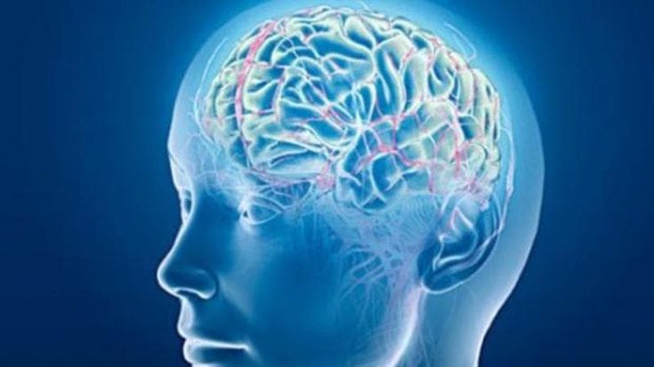 Come usiamo il cervello
