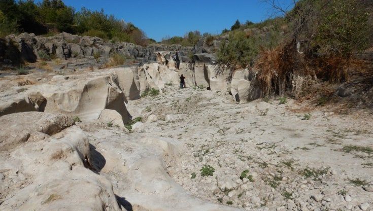 Fiume Alcantara a secco, fauna ittica a rischio e prelievi d'acqua senza controlli
