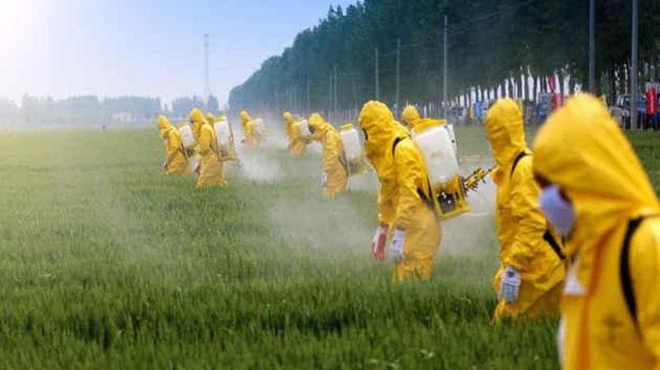 Agricoltura, le forti pressioni delle aziende dei pesticidi all’assalto delle regole europee