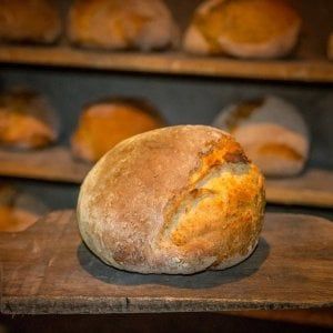 Grani antichi e farine bio: il trend del pane influencer e tradizione