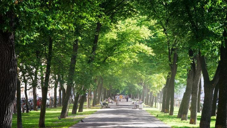 Emissioni zero 2030: per le città europee piantare alberi non basterà più