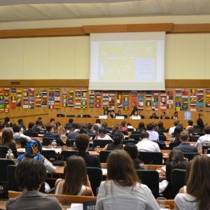 Wimun 2014, cos&igrave; centinaia di ragazzi hanno imparato il valore del compromesso