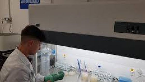Un farmaco contro il Covid adesso è più vicino