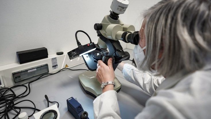 Nel laboratorio di Torino che dà la caccia ai diamanti insanguinati