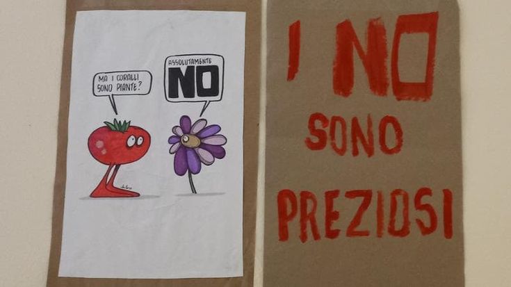 “I no sono preziosi”: tolti i cartelli dalla scuola-seggio
