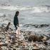 L'annuncio di Msc: via la plastica dalle navi da crociera