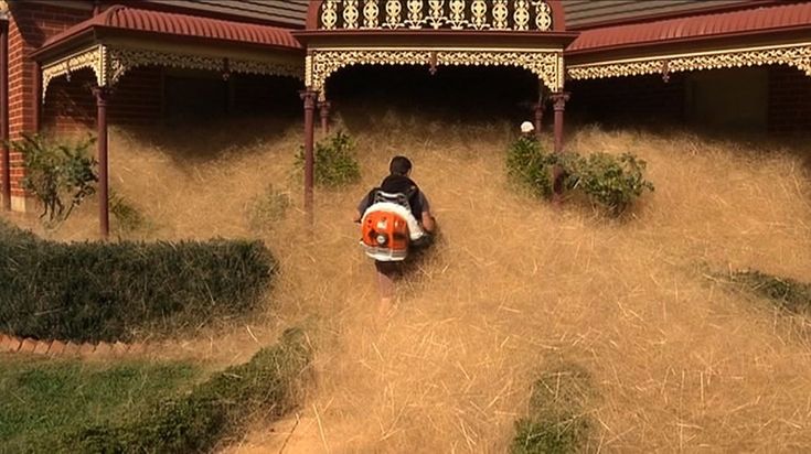 Australia, cittadina infestata da nuvole di erbaccia secca