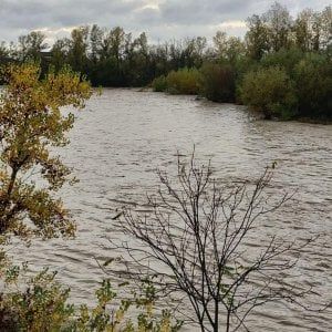 Piemonte maltempo: allarme arancione, 200 mm di pioggia in Val Borbera, rischio frane dal Verbano al Canavese 