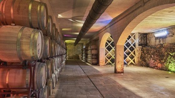 Tra Moscatello e Primitivo, uno Château di Borgogna nel cuore della Puglia