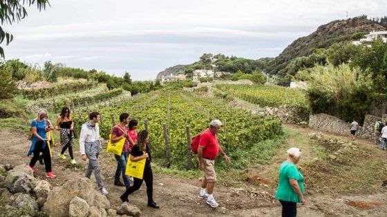 Trekking sì, ma gastronomico: le passeggiate "a tutto gusto" che uniscono bello e buono