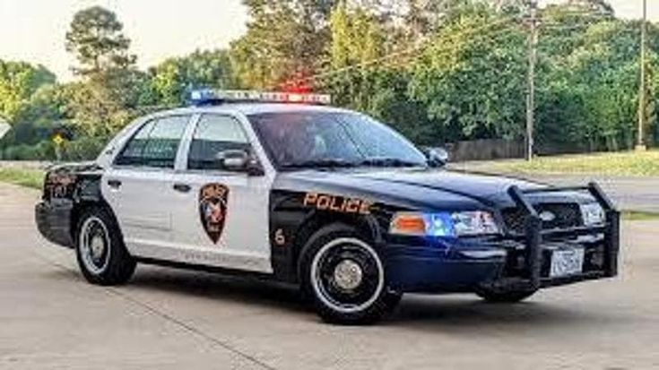Texas, una donna cerca di affogare in piscina una bambina palestinese di 3 anni. La polizia indaga per crimine d’odio