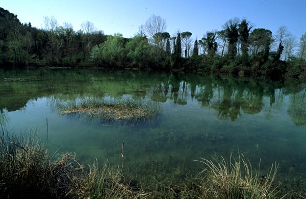 Su e giù per le colline marchigiane