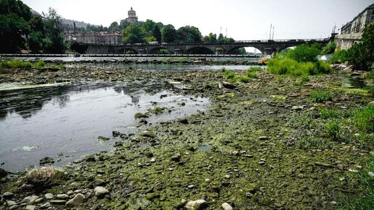 Caldo, la Regione proclama l’emergenza idrica.Cirio: “Ora misure straordinarie”