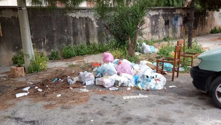 Via Eugenio Leotta, una pineta di immondizia