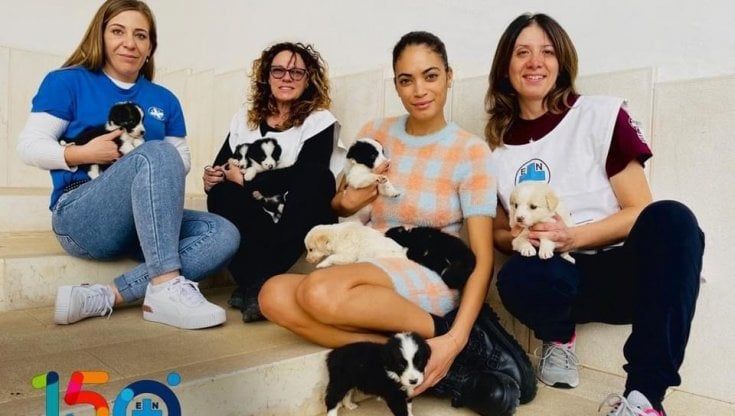 Elodie salva 8 cuccioli abbandonati: è bastata una foto insieme per far trovare loro famiglia