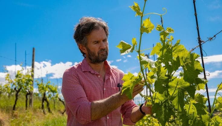 Cappelletti e piadine, il menu di Cracco a Vinitaly: “Il cibo salverà il vino”