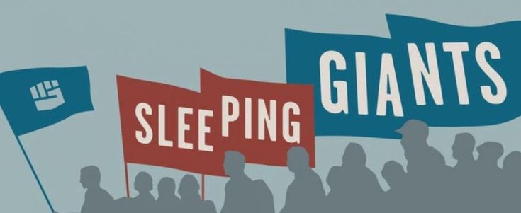 "Sveglia, sei su un sito razzista". L'allarme social alle multinazionali
