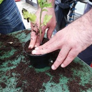 "Ho acquisito più autostima. Mi sento realizzato": a Parma l'agricoltura è sociale