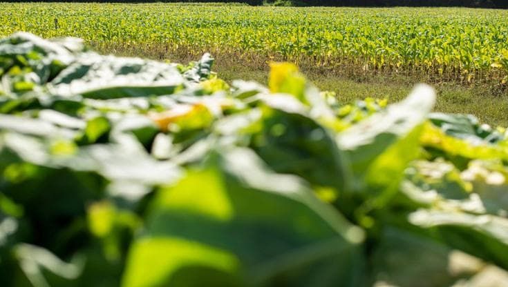 Accordi di filiera per innovare