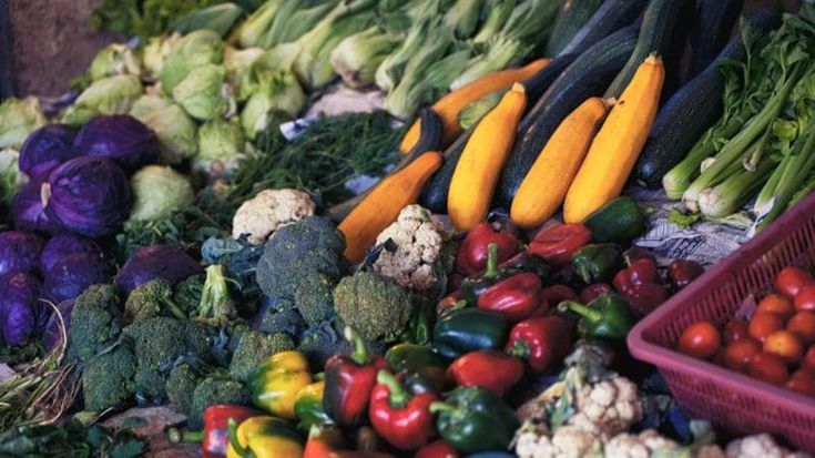 Hot&Cold, la ricetta lombarda per cucinare e conservare gli alimenti in modo sostenibile