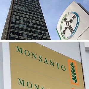 Il grande fratello dei semi all'assalto (chimico) dell'agricoltura mondiale