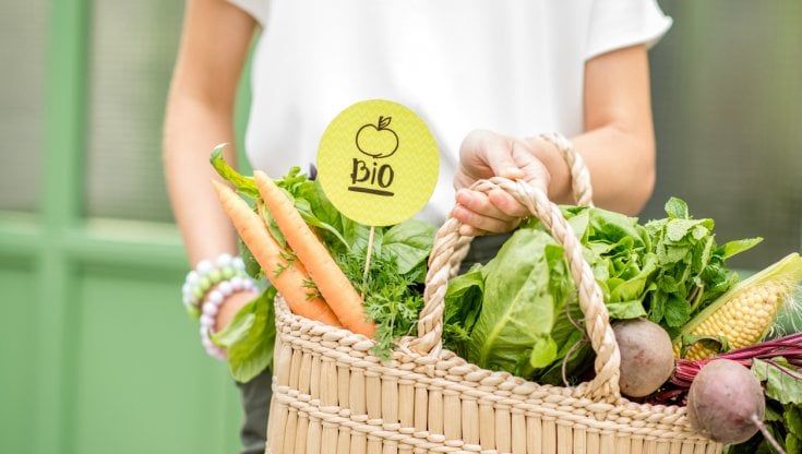 Approvata la legge sul bio, che cosa deve fare ora l’agricoltura italiana