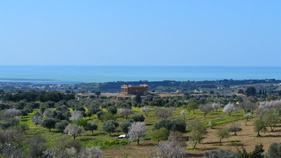 Nella Valle dei Templi spuntano giovani imprese con idee innovative e prodotti di qualità