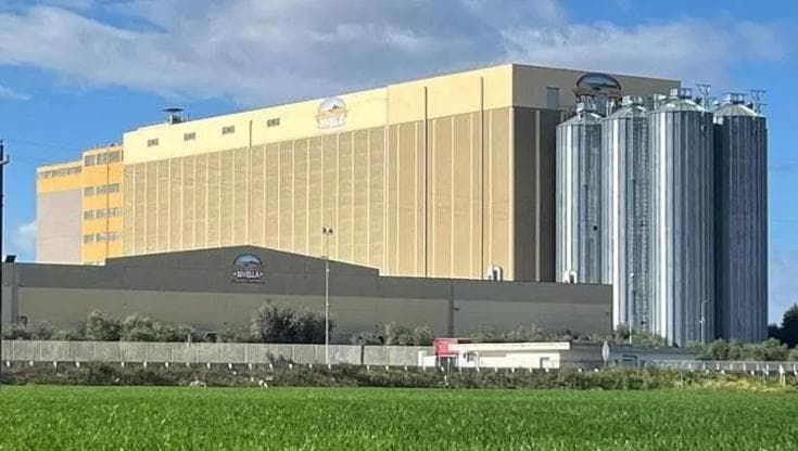 “Divella marchio tricolore sulla pasta ma grano estero”. Esposto Antitrust. L’azienda: “Pretestuoso”