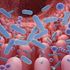 Una nuova strategia per “leggere” gli spartiti del microbioma