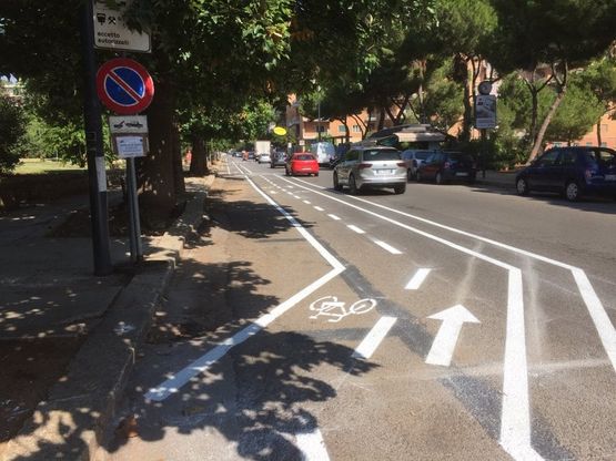 Palermo, la "nuova" pista ciclabile che fa lo slalom fra le buche