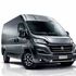Ducato eletto 
