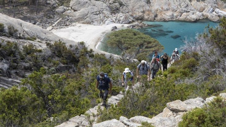Isola Montecristo, prenotazioni aperte per visitare l'esclusivo paradiso  