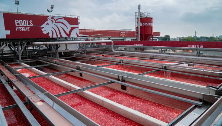 Mutti investe 100 milioni in Italia per rafforzare la filiera del pomodoro