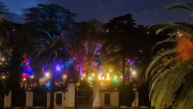 All'Orto botanico un "Incanto di  luci". La natura si illumina di immenso (e di suoni)