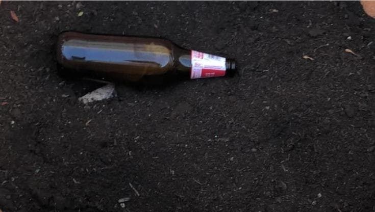Rubano la piantina e lasciano una birra, la delusione del ragazzi dell’oratorio di Bari vecchia