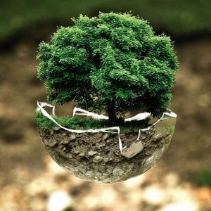 Un vocabolario "green": cresce l'utilizzo di parole legate alla sostenibilità ambientale