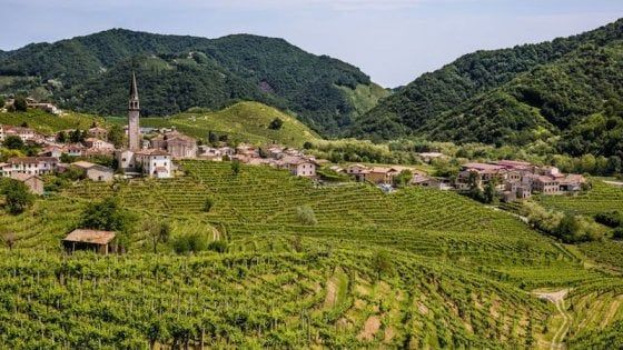 Il prosecco Valdobbiadene Docg dice no al glifosato