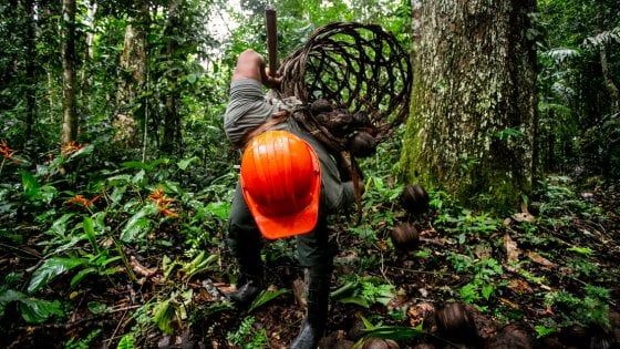 Riforestazione, sostegno ai piccoli produttori e salvaguardia delle popolazioni indigene