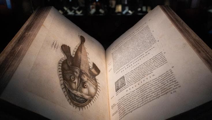 Alla Biblioteca Vaticana i pesci escono dai libri e finiscono nella cucina di Fulvio Pierangelini