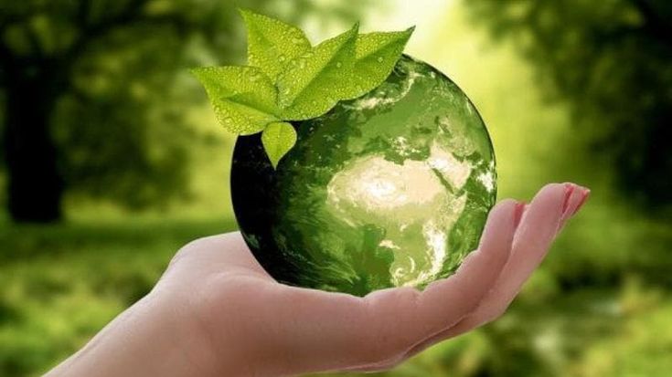 Caro energia, Green Deal così rischiamo di regalare la chimica all’Asia