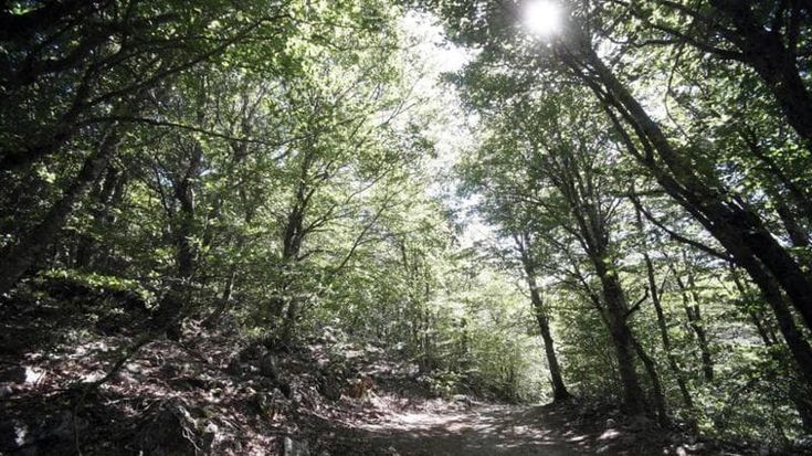Il parco delle Madonie in vetrina a Osaka al costo di 280 mila euro