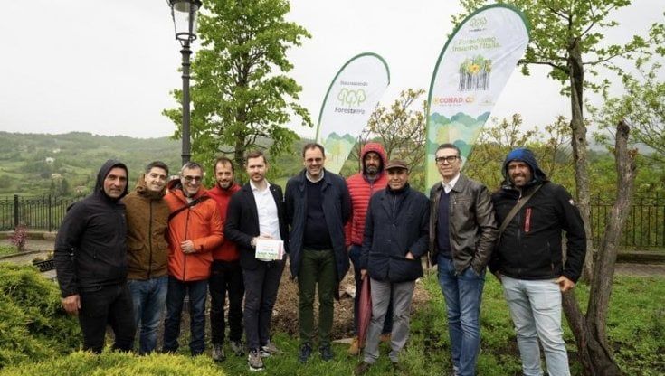 Potenza, mille nuovi alberi dove prima c'era una discarica
