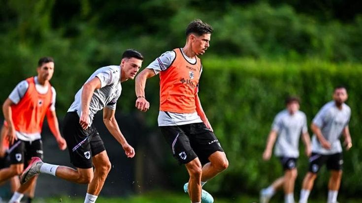 Sampdoria, ora la difesa è più robusta. La rivoluzione di Donati è servita